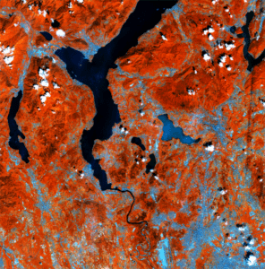 Improving flood forecasting with Earth observation data