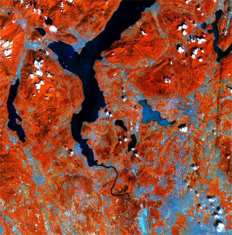 Improving flood forecasting with Earth observation data image