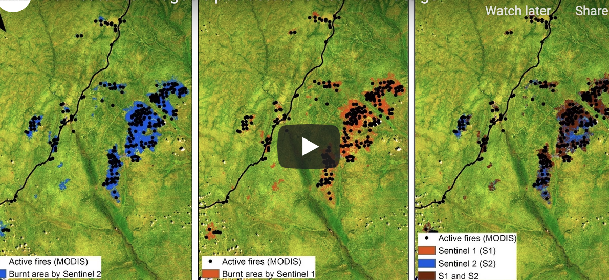 Monitoring forest fires with satellites