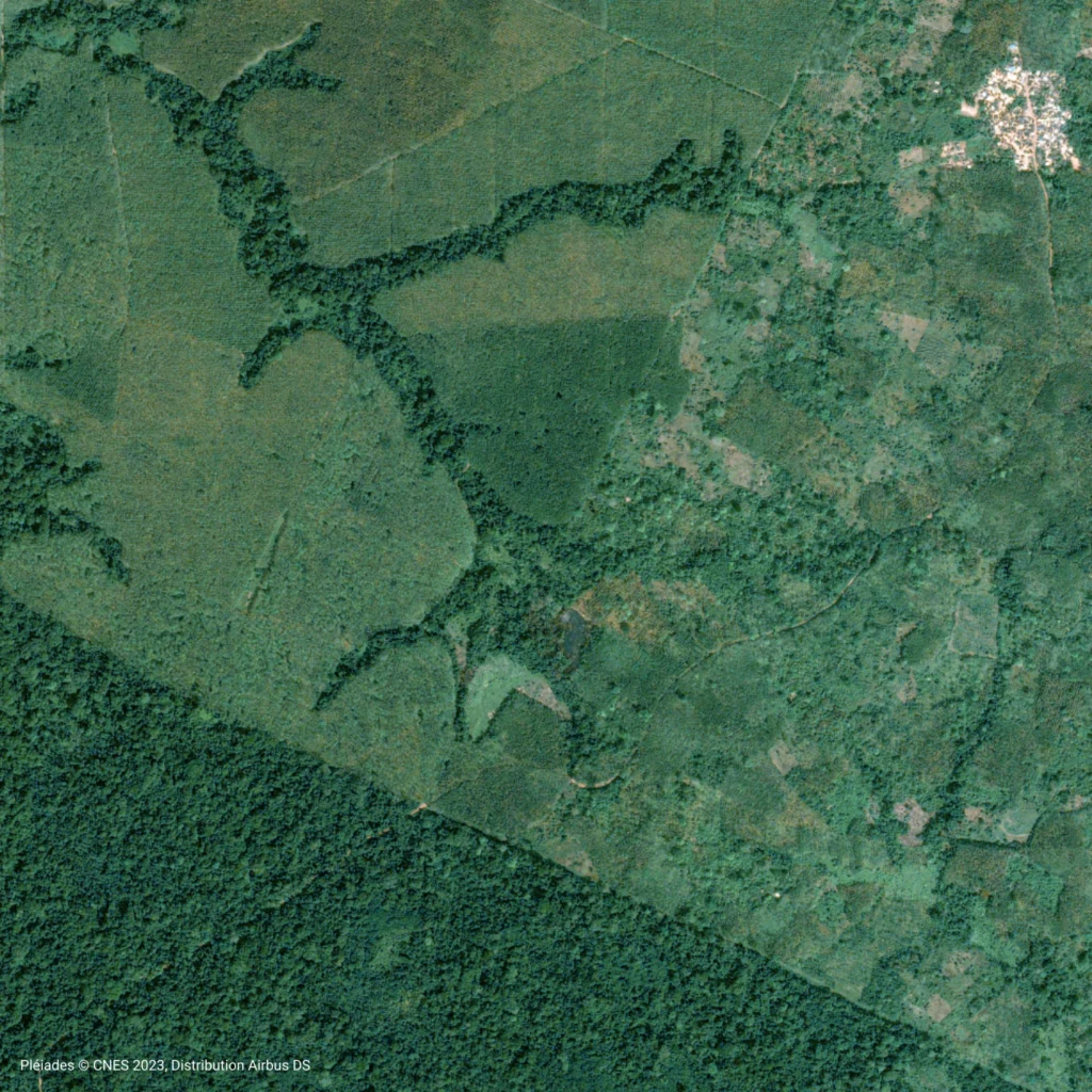 Commercial satellite imagery Pleiades Cavally Forest