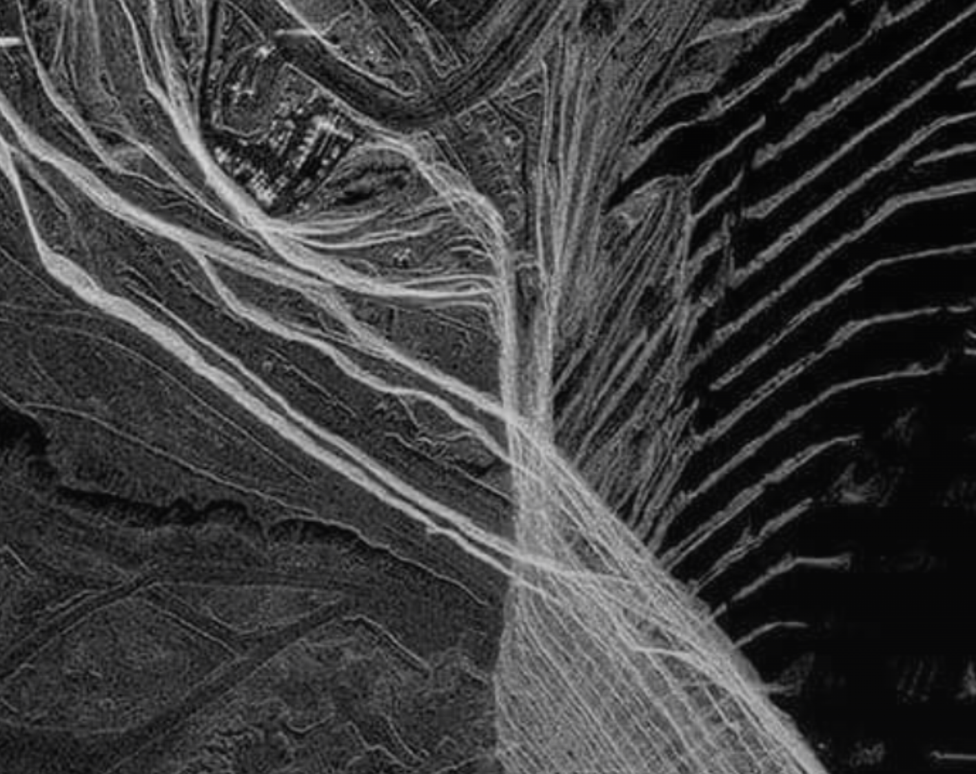 Umbra Open Data Program - SAR Free Satellite Imagery